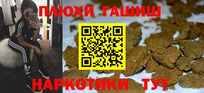 амф Тула