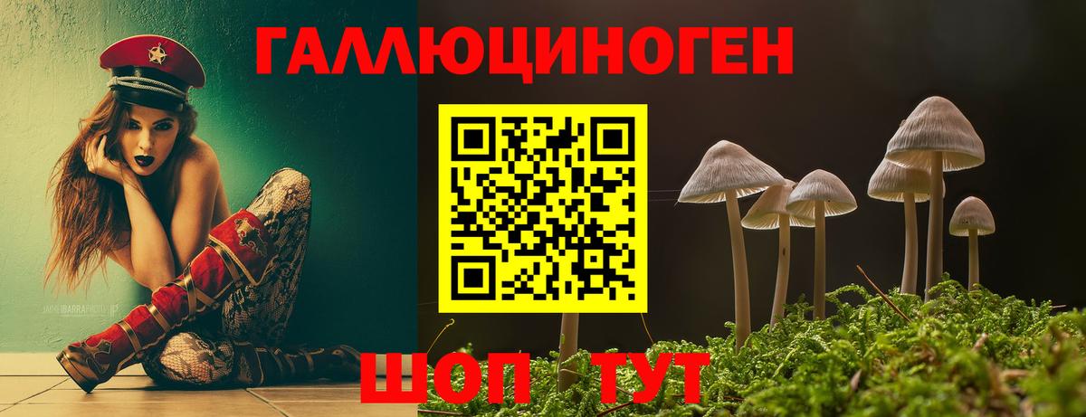 купить наркоту  Вход с VPN  Псилоцибиновые грибы MAGIC MUSHROOMS  Нефтеюганск  Псилоцибиновые грибы Cubensis 
